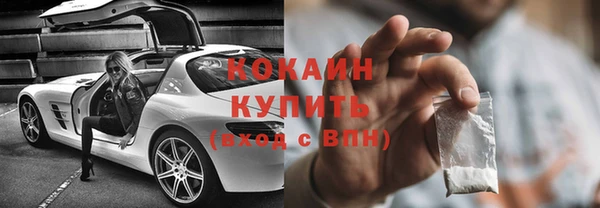 молекула духа Арсеньев