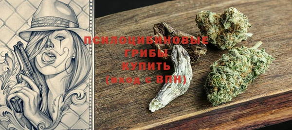 прущие крисы Переславль-Залесский